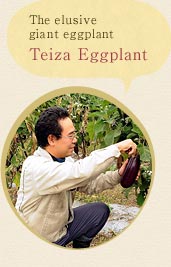 Teiza Eggplant