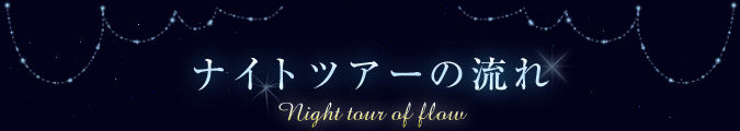 ナイトツアーの流れ Night tour of flow